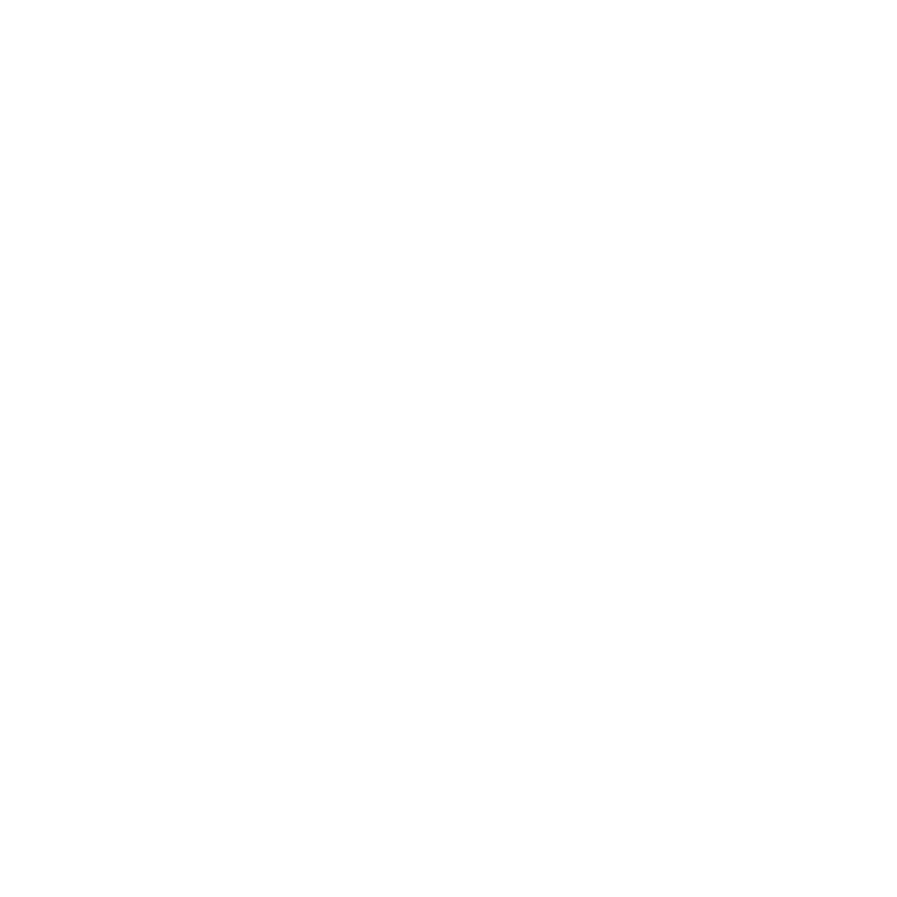 NAGOYA BELLYDANCE FESTIVAL